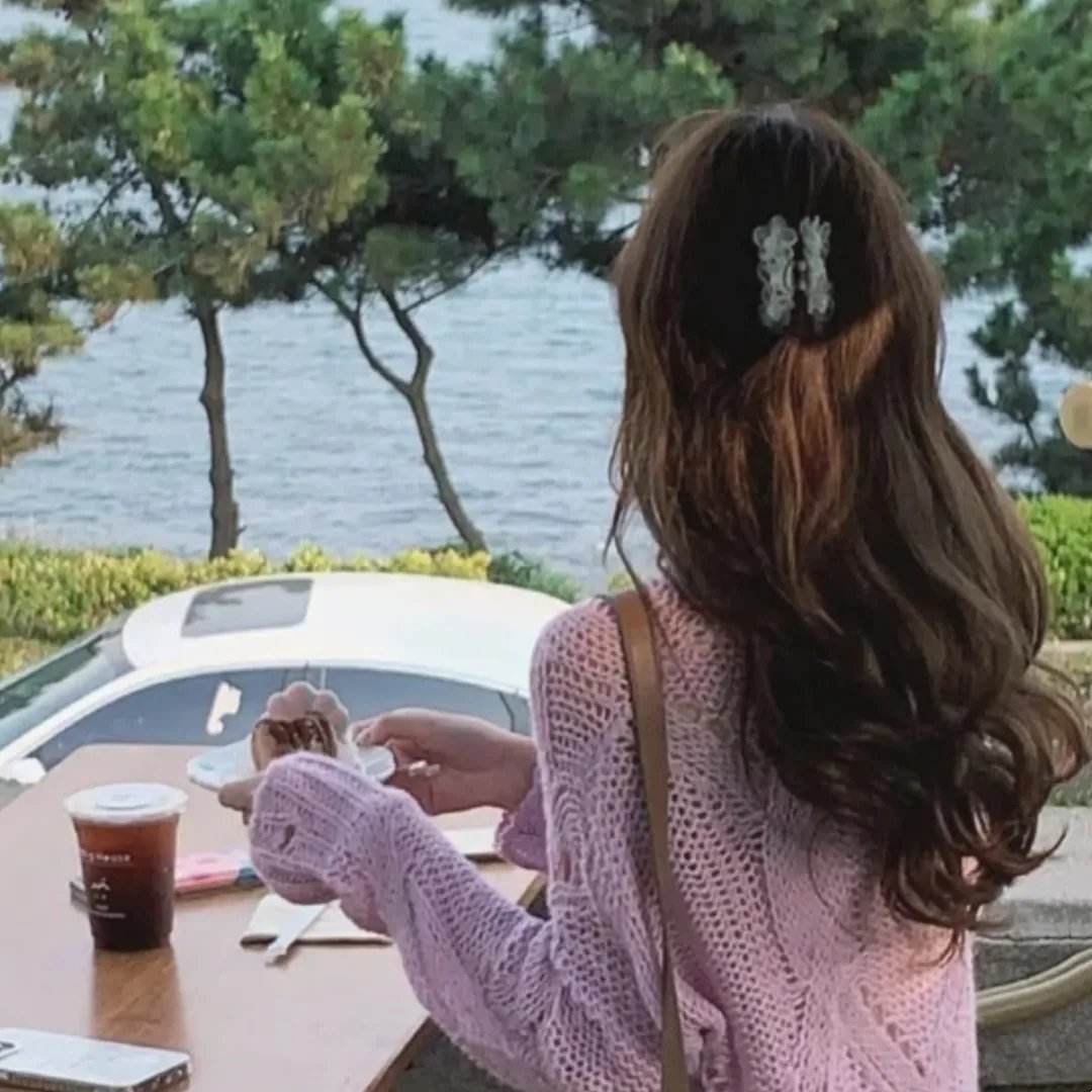 蜘蛛网
